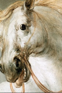 Ausschnitt: Pferde des Wagens der Aurora; Detail: Kopf des
linken Pferdes, Aufn. Cürlis, Peter, 1943/1945