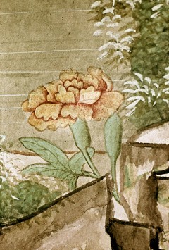 Detail: Blume, Aufn. Cürlis, Peter, 1943