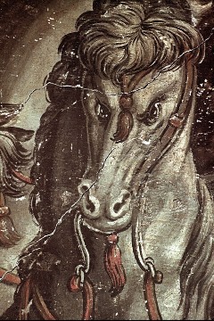 Detail: Kopf des Pferdes am linken Bildrand, Aufn. Müller und Sohn, 1943/1945