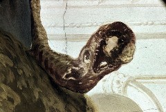 Detail: Reptil beim heiligen Ägidius, Aufn. Cürlis, Peter, 1943/1945