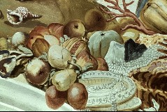Ausschnitt: Europa, Detail: Früchte, Perlen und Muscheln, Aufn. Cürlis, Peter, 1943/1945