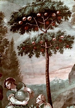 Ecke unten links, Detail: Baum der Erkenntnis, Aufn. Schulze-Marburg, Rudolf, 1944
