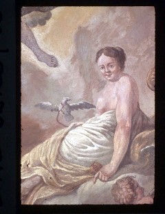 Ausschnitt: Venus, Detailansicht, Aufn. Halewicz, Julius, 1943/1945