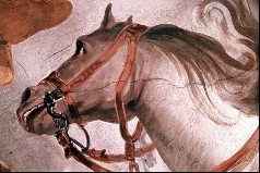 Ausschnitt, Kopf des stürzenden Pferdes von Saulus, Aufn. Bühring, Sigrid, 1945.03-1945.04