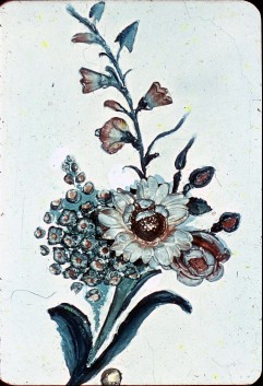 Detail: verschiedene Blumen, Aufn. Cürlis, Peter, 1943/1945