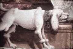 Detail: Hund mit Künstlersignatur auf dem Halsband, Aufn. Weizsäcker, Ralph, 1943/1945