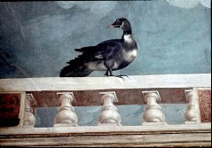 Detail: Ente auf der Balustrade, Aufn. Halewicz, Julius, 1944