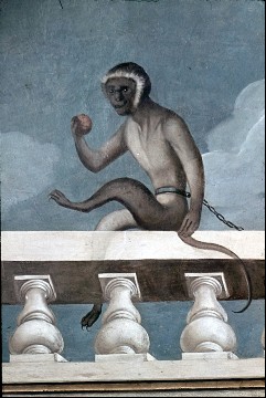 Detail: angeketteter Affe auf der Balustrade, Aufn. Halewicz, Julius, 1944
