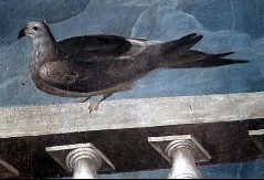 Detail: Taube auf der Balustrade, Aufn. Halewicz, Julius, 1944