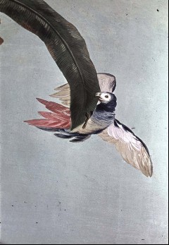 Detail: Papagei an einem Palmenblatt hängend, Aufn. Rex-Film, 1944/1945