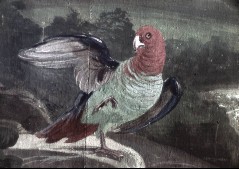Detail: Papagei (Kronprinzenappartement), Aufn. Rex-Film, 1944/1945