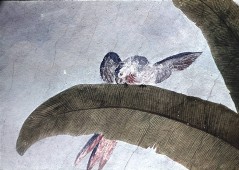 Detail: Papagei auf einem Palmenblatt, Aufn. Rex-Film, 1944/1945