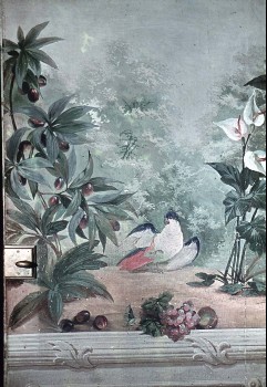Detail: Pflanzen und Papagei, Aufn. Rex-Film, 1944/1945
