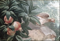 Detail: Vogel und ein Granatapfelbaum, Aufn. Rex-Film, 1944/1945