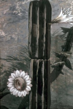 Detail: Kaktus mit Blüten (Kronprinzenappartement), Aufn. Rex-Film, 1944/1945
