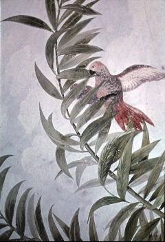 Detail: Papagei auf einer Palme, Aufn. Rex-Film, 1944/1945