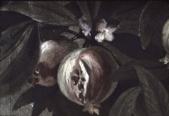 Detail: Granatäpfel, Aufn. Rex-Film, 1944/1945