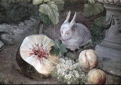 Detail: weißes Kaninchen mit Früchten, Aufn. Rex-Film, 1944/1945