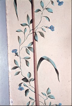 Detail: Schilfkolben von blauer Winde umschlungen, Aufn. Nehrdich, Rolf-Werner, 1943/1945