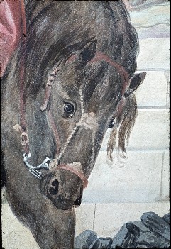 Detail: Pferd, Aufn. Müller und Sohn, 1943/1945