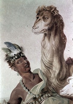 Detail: Indianer mit Kamel, Aufn. Halewicz, Julius, 1943/1945