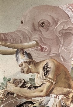 Elefant, Aufn. Halewicz, Julius, 1943/1945