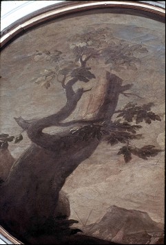 Detail: Baum, Aufn. Halewicz, Julius, 1943/1945