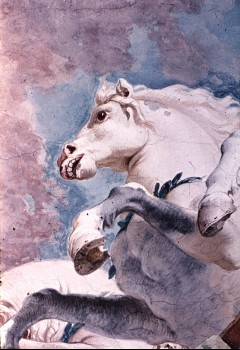 Detail: Pferd, Aufn. Lamb, Carl, 1943/1945