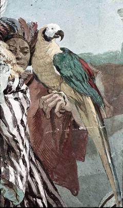 Detail: Papagei, Aufn. Lamb, Carl, 1943/1945