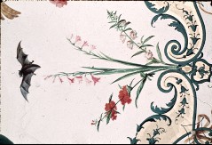 Detail: Blumen, Ranken, Aufn. Lamb, Carl, 1943/1945